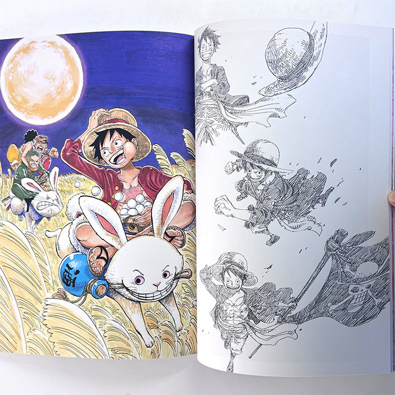 Libro Illustrato One Piece Col - Art Book Illustration recensione e prezzo